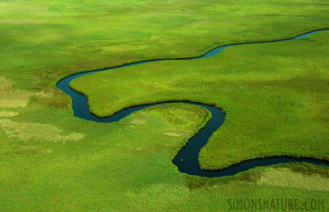 Okavango Delta May 2014 [65 mm, 1/3200 sec at f / 8.0, ISO 2500]